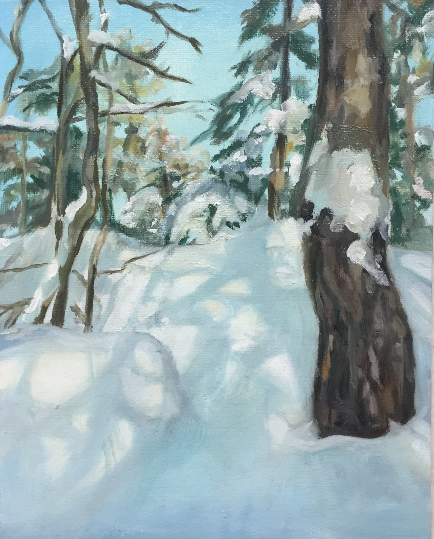 Winter wonderland