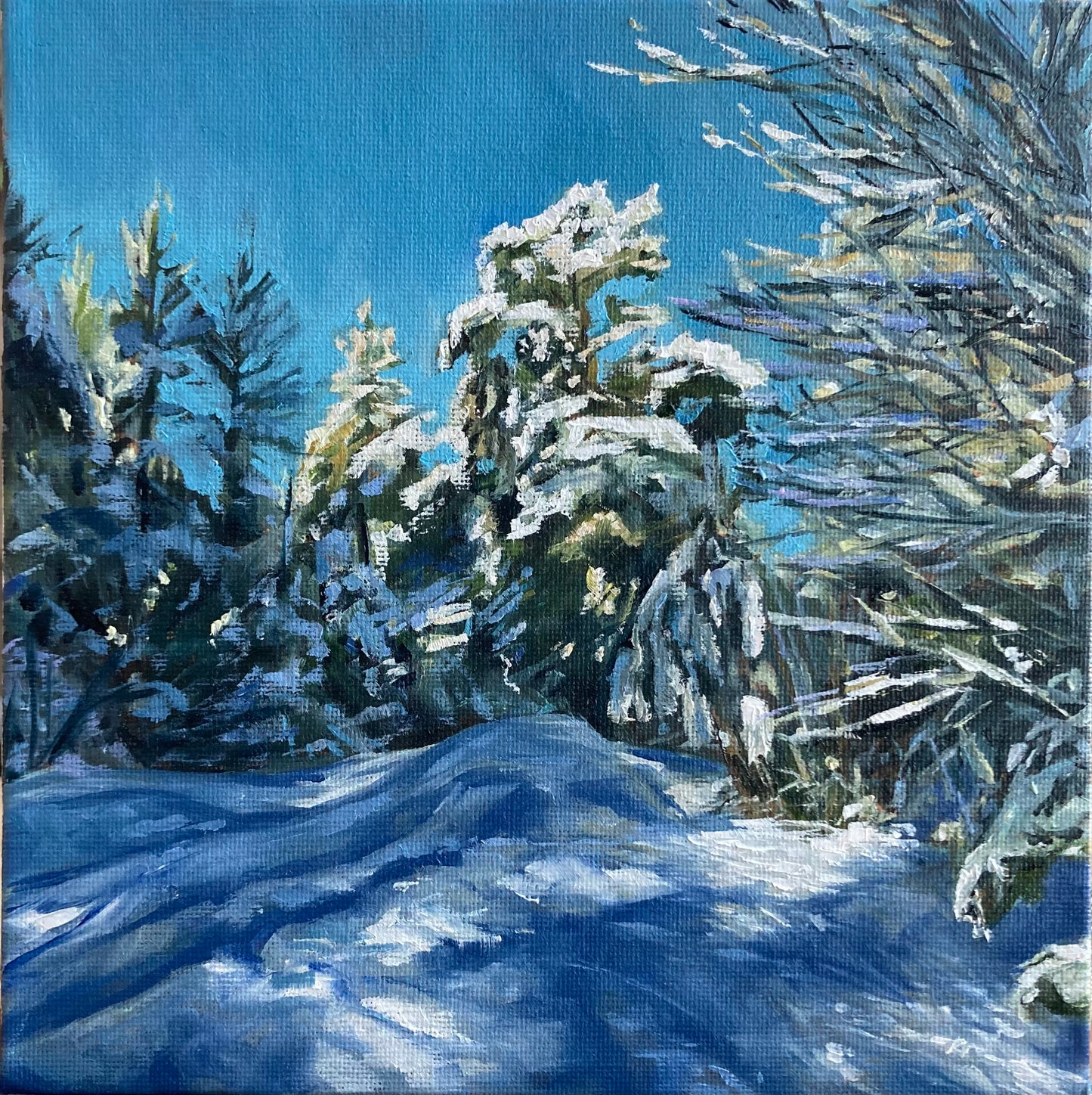 Winter light